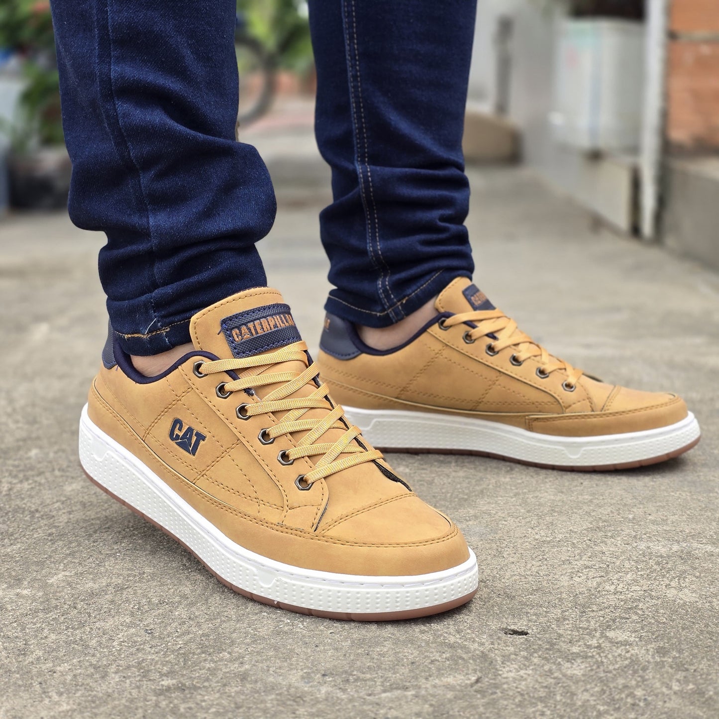 CAT H MEN CASUAL