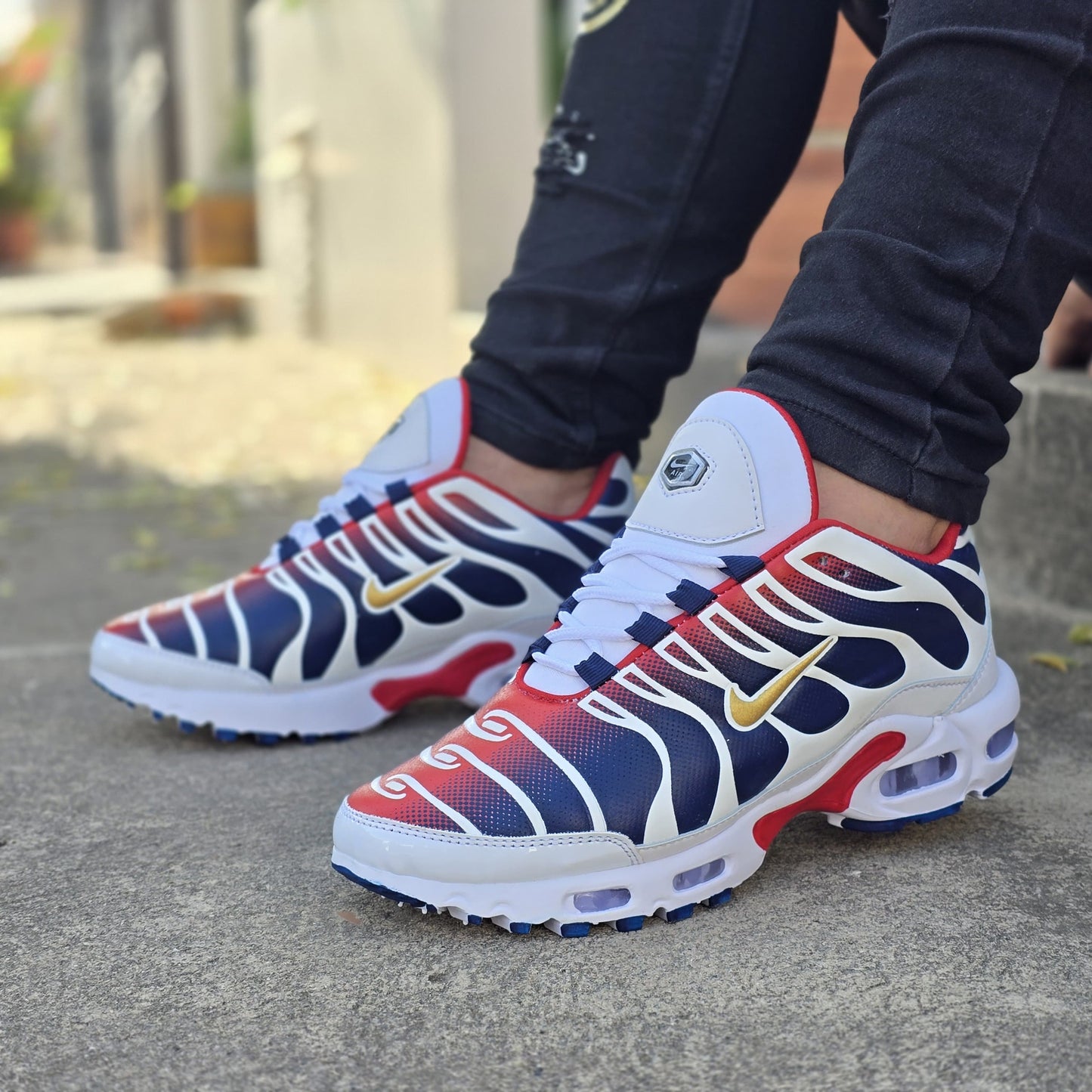 Nike Air Max Plus Premium + MEDIAS